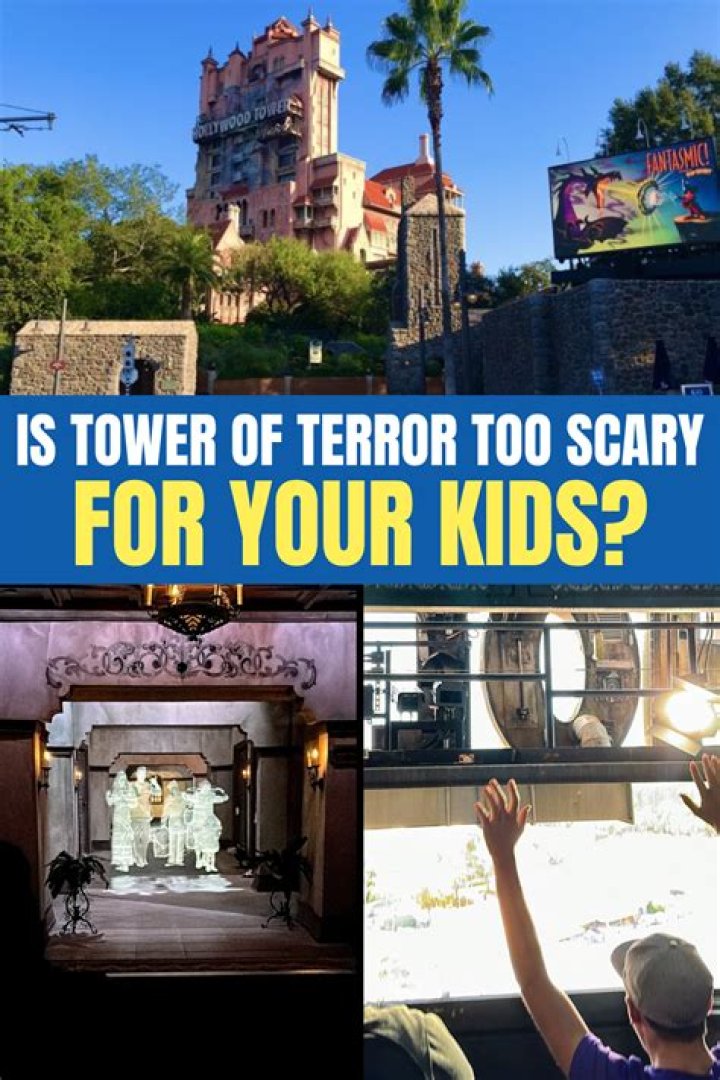 How many stories do you drop on Tower of Terror?
