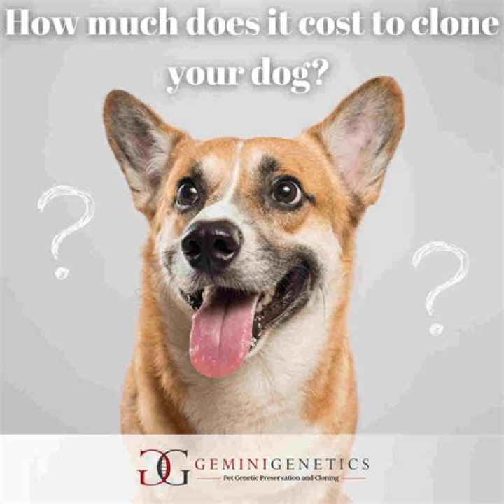 How much does it cost to surrender a dog in AZ?