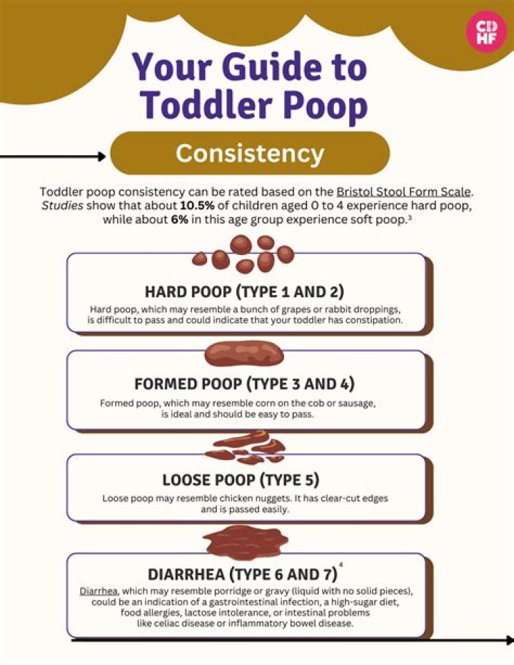 Is 6 toddler the same as 6C?