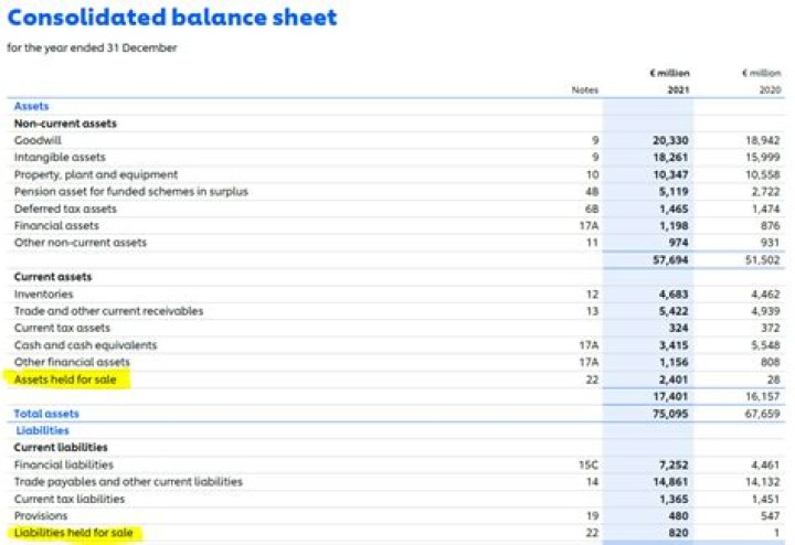 Is a car an asset on balance sheet?