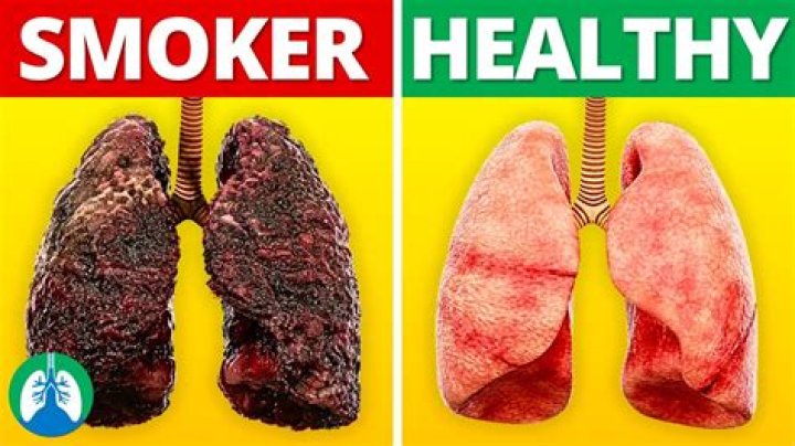 Is cigarette smoke bad for plants?