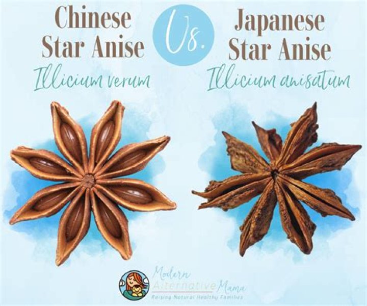 Is Illicium poisonous?
