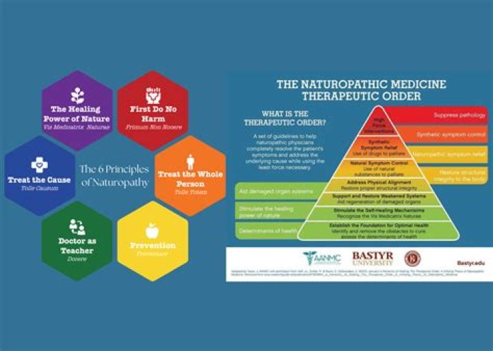 Is naturopathy Recognised in UK?