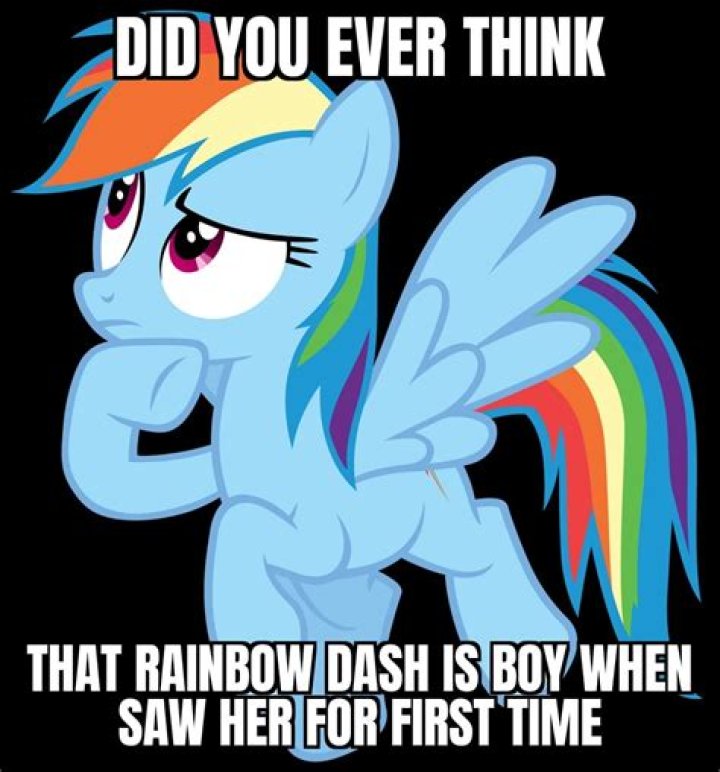 Is Rainbow Dash girl or a boy?