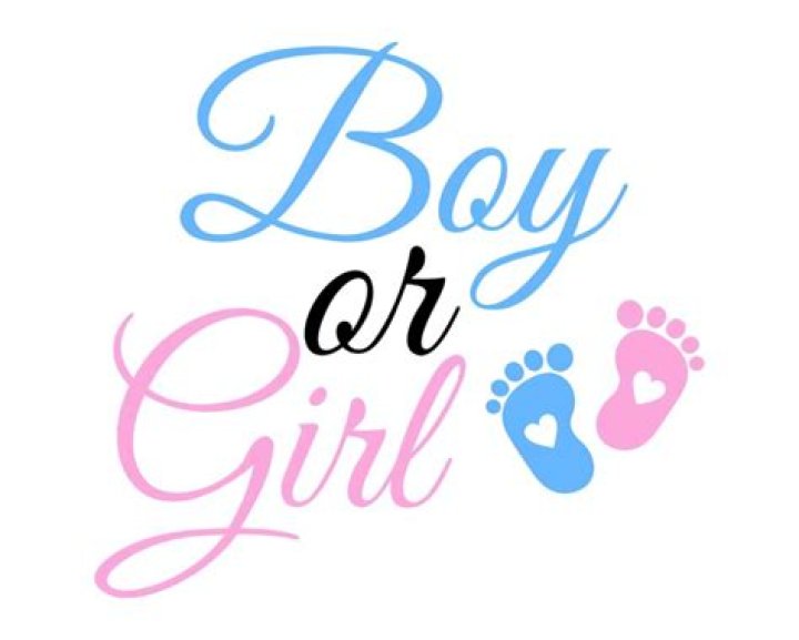 Is Ritsu a boy or girl?