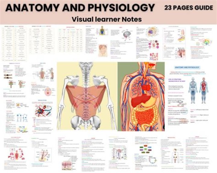 Is there an anatomy and physiology CLEP?