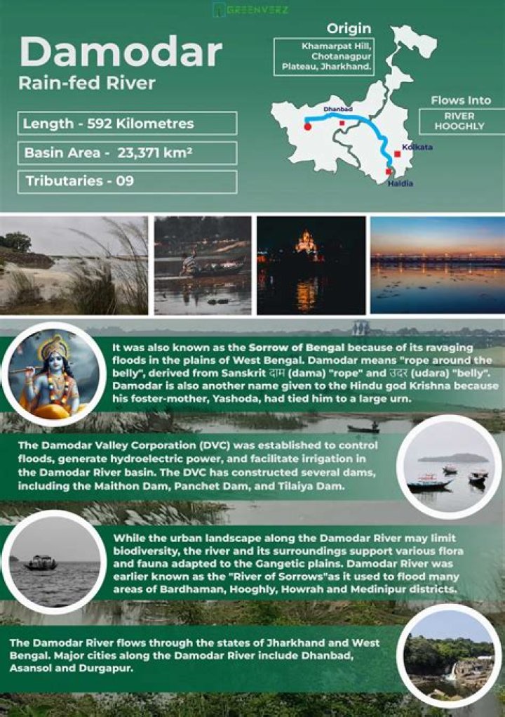 Is there any dam on Damodar river?