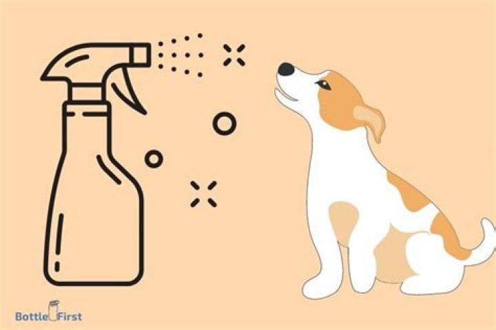 Is using a spray bottle on a dog cruel?