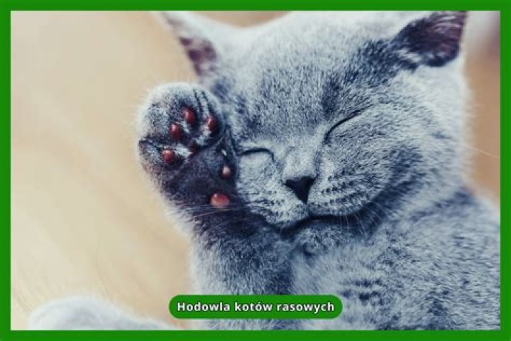 Kako do oporavka nakon poroda?