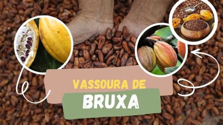 Por que serve a vassoura de bruxa?