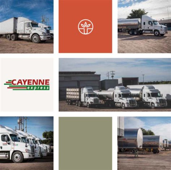 Was ist der Cayenne-Express-Service?