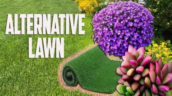 What alternatives are there to eBay UK?