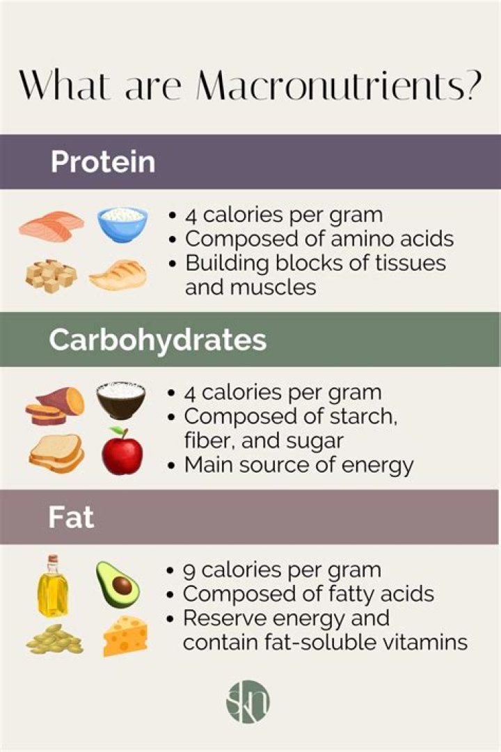 What are 5 examples of macronutrients?