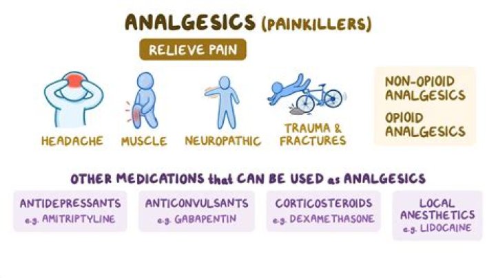 What are analgesic antipyretic and anti inflammatory drugs?