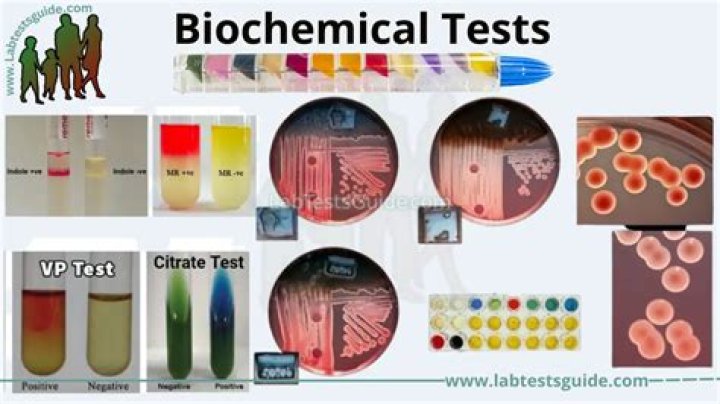 What are biochemical lab techniques?
