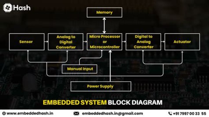 What are branch instructions in ARM processor?
