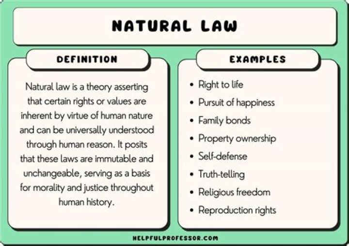 What are examples of legal professions?