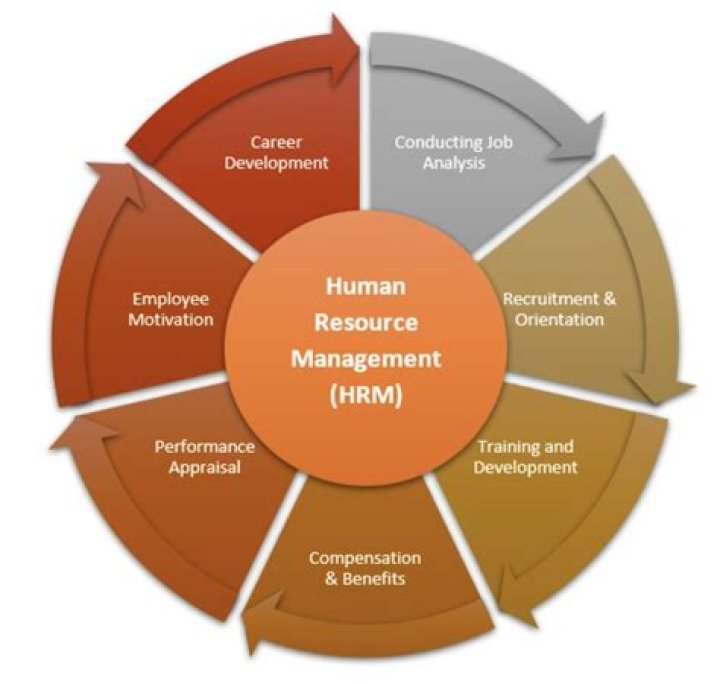 What are mdps in HRM?
