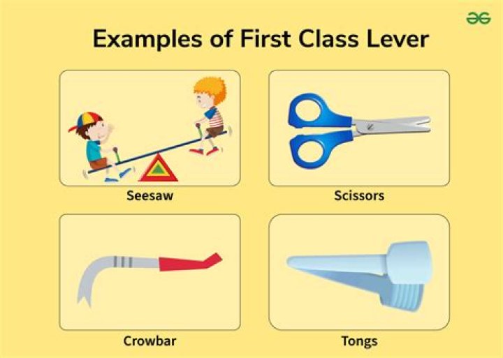 What are some examples of levers around the house?