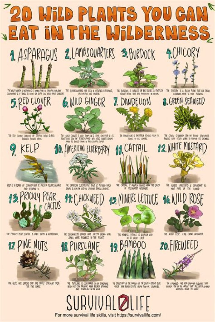 What are some good edible weeds?
