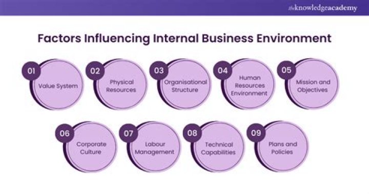 What are the 6 factors that influence the business environment?
