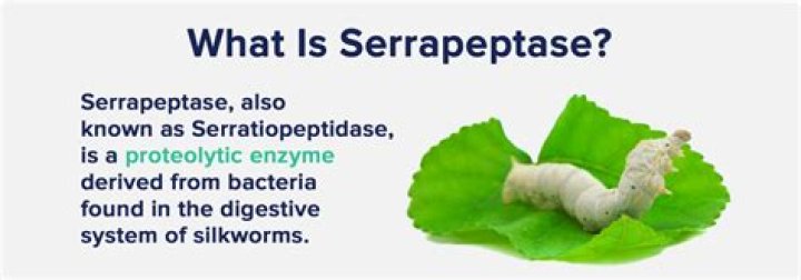 What are the benefits of taking serrapeptase?