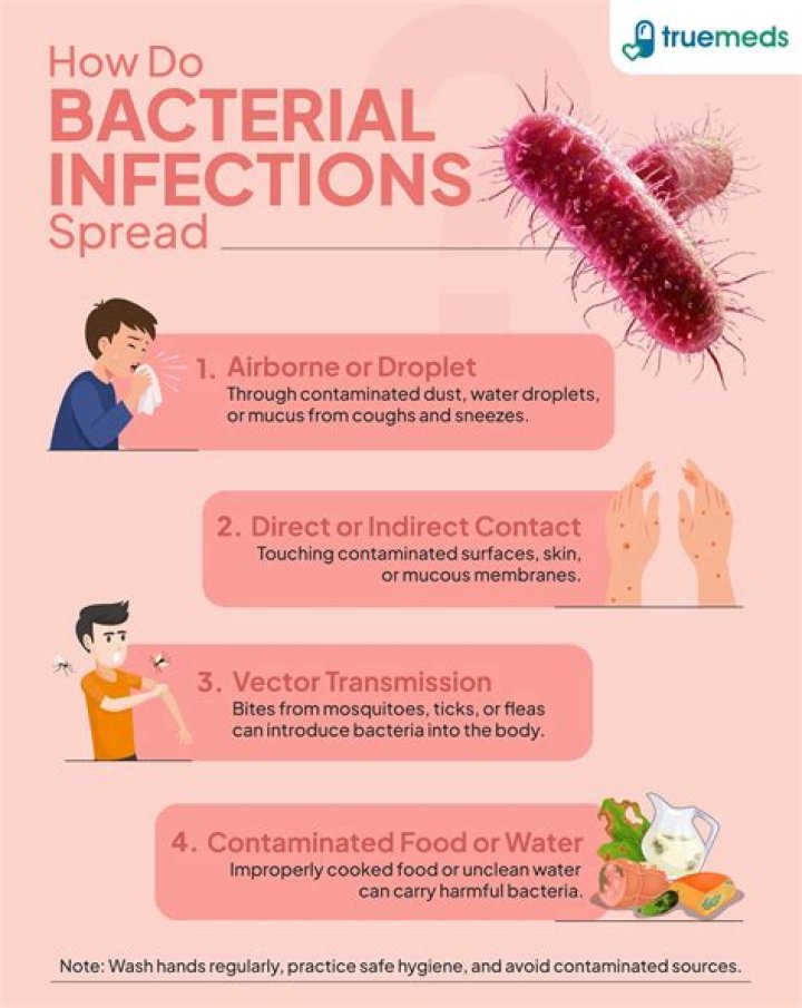 What are the common sources of infection?