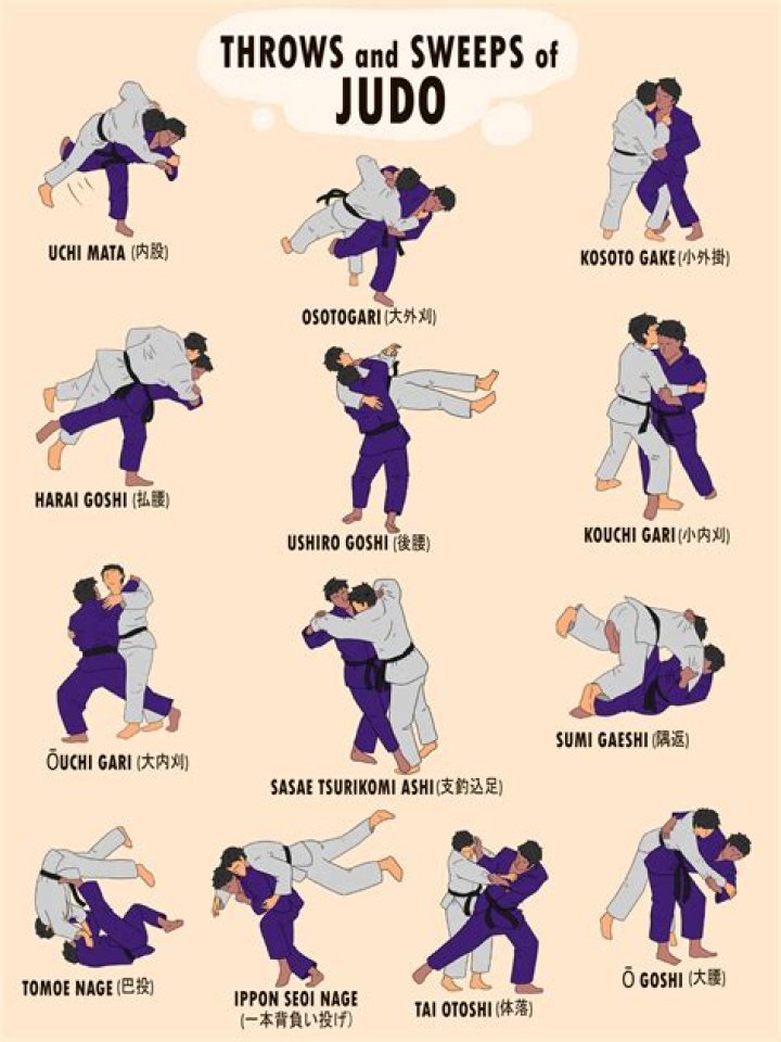 What are the different types of throws in judo?