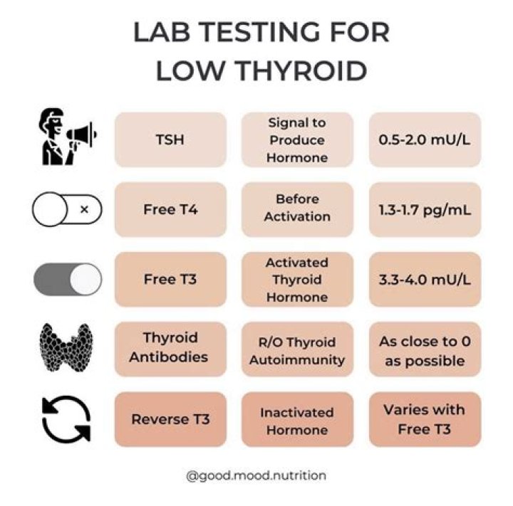 What are the different types of thyroid tests?