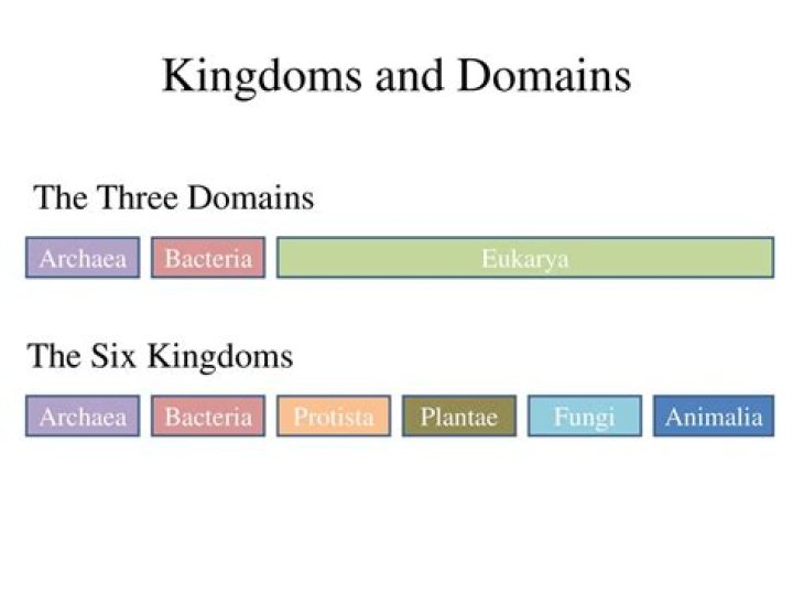 What are the domains of the 6 kingdoms?