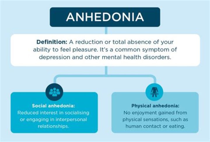 What are the symptoms of anhedonia?
