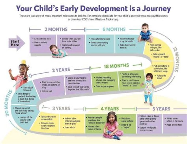 What are the typical developmental milestones for a 1 and 2 year old?