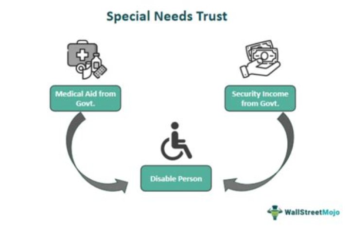 What can a special needs trust not pay for?