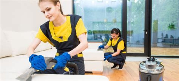 What can I say instead of a janitor?