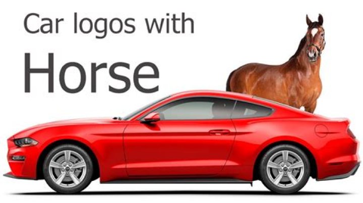 What car logo has a horse?
