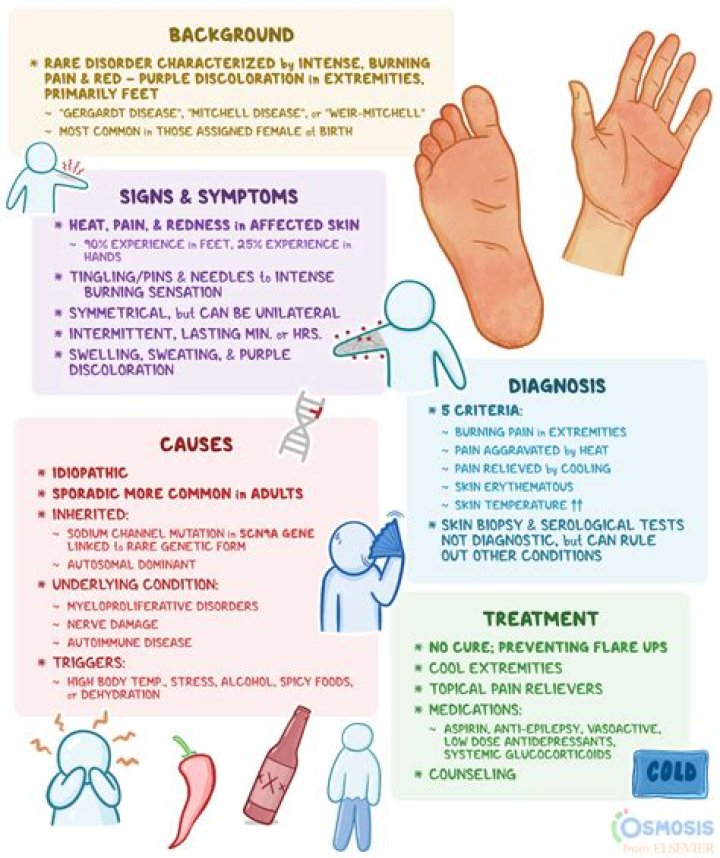 What disease causes cold hands and feet?