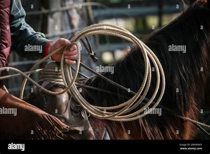 What do cowboys call their ropes?