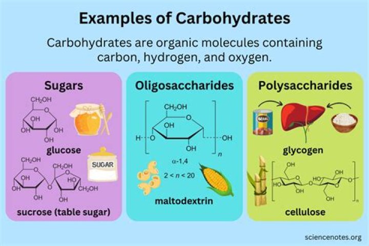 What does a Carbohydrase enzyme do?