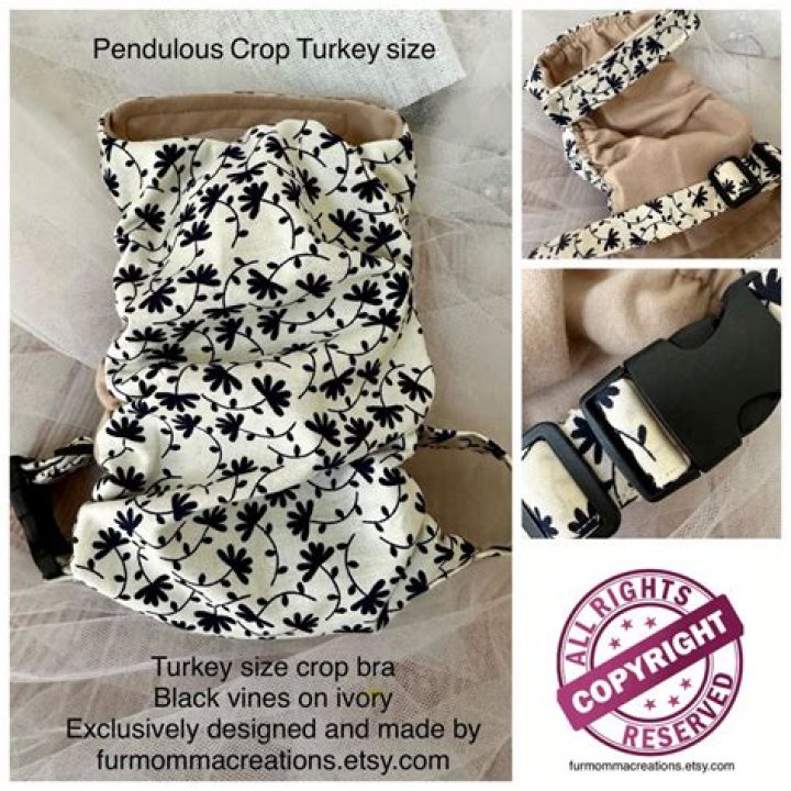 What does a pendulous crop look like?