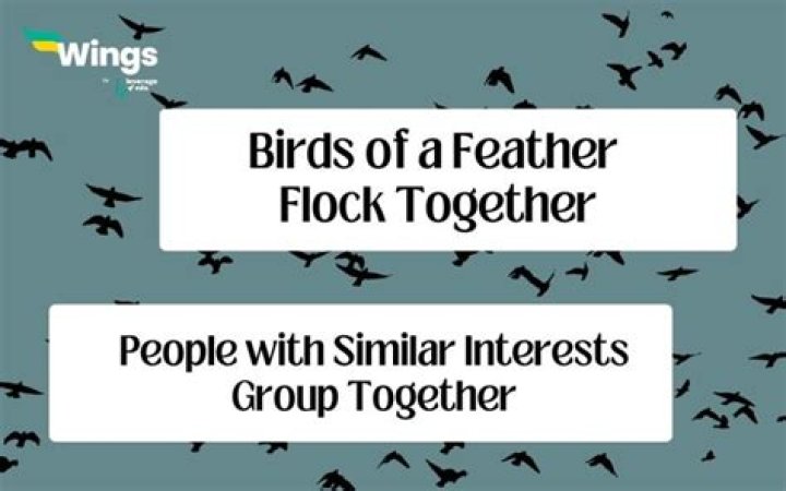 What does birds of the same feather flock together mean?