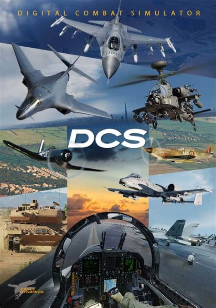 What does DCS flight sim mean?
