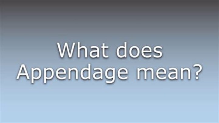 What does large appendage mean?