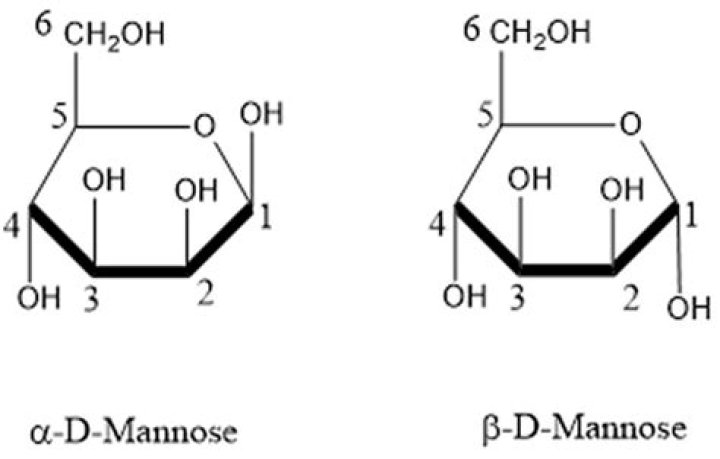 What does mannose consist of?