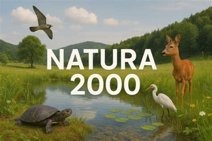 What does Natura 2000 do?