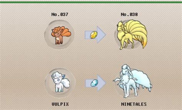 What does Ninetales evolve into?