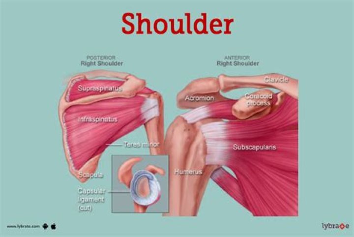 What does pain in shoulder mean when pregnant?