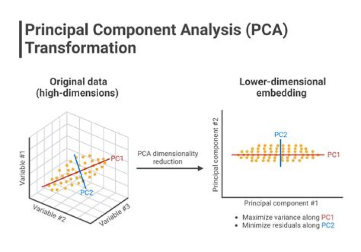 What does PCA stand for IV?