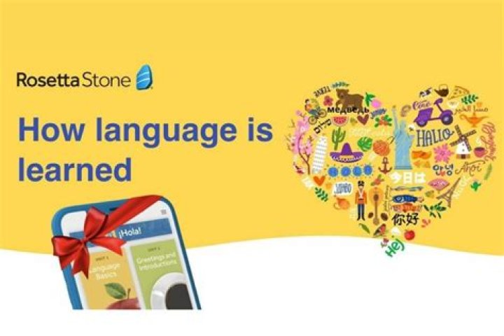 What does Rosetta Stone teach?