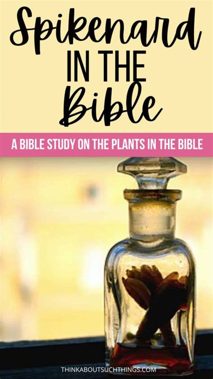 What does spikenard symbolize in the Bible?