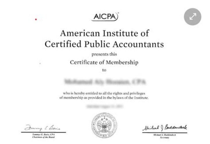 What does the American Institute of Certified Public Accountants AICPA do?